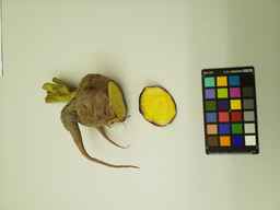 PI_164484_2.jpg