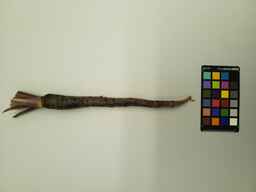 PI_167055_1.jpg