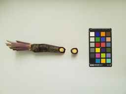 PI_167055_2.jpg