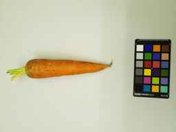 PI_264234_1.jpg