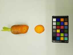 PI_264234_2.jpg