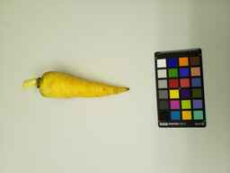 PI_279777_1.jpg