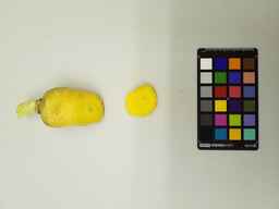 PI_279777_2.jpg
