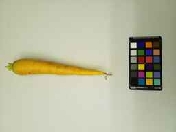 PI_285621_1.jpg