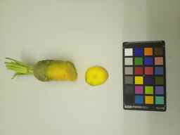 PI_432898_2.jpg