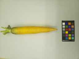 PI_432902_1.jpg
