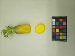 PI_432902_2.jpg