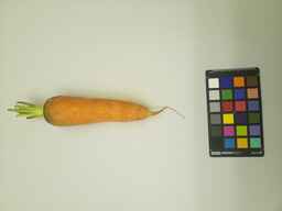 PI_432904_1.jpg