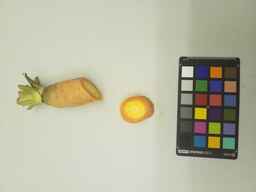 PI_432906_2.jpg