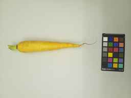 PI_451752_1.jpg