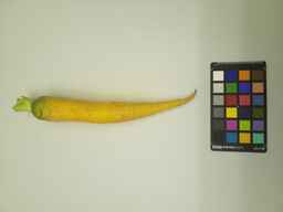 PI_451753_1.jpg