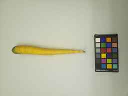 PI_451755_1.jpg