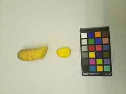 PI_451755_2.jpg