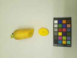 PI_451758_2.jpg