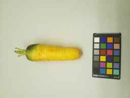 PI_502348_1.jpg