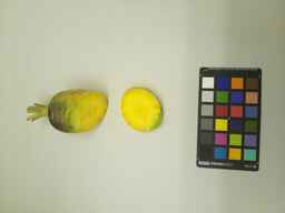 PI_502348_2.jpg