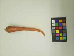 PI_502654_1.jpg