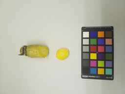 PI_502656_2.jpg
