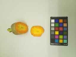 PI_502913_2.jpg