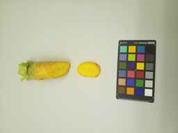 PI_502915_2.jpg
