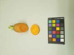 PI_506444_2.jpg