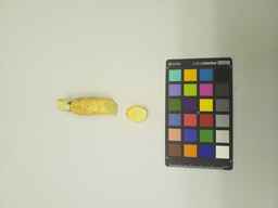 PI_515994_2.jpg