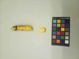 PI_515995_2.jpg