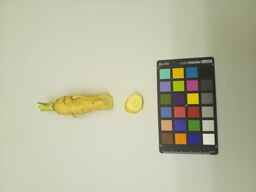 PI_515996_2.jpg