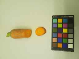PI_516001_2.jpg
