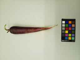 PI_652188_1.jpg