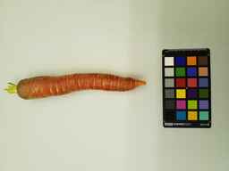 R4294_1.jpg