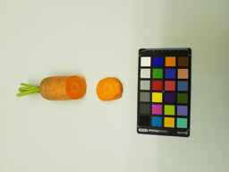 R5647B_2.jpg